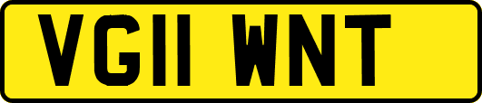 VG11WNT