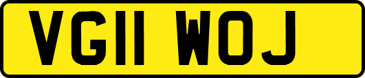 VG11WOJ