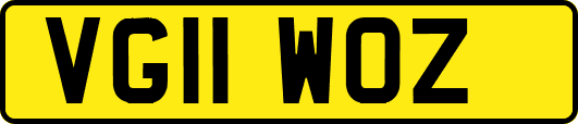 VG11WOZ
