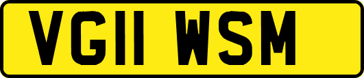 VG11WSM