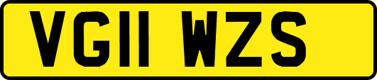 VG11WZS