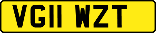 VG11WZT