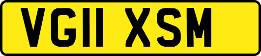 VG11XSM
