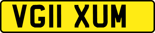 VG11XUM