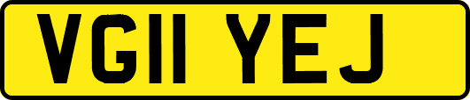 VG11YEJ
