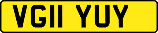 VG11YUY