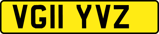 VG11YVZ