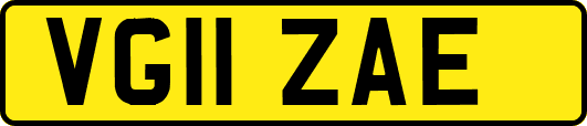 VG11ZAE