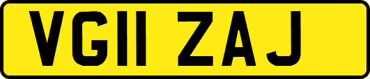 VG11ZAJ
