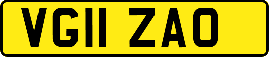 VG11ZAO