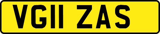 VG11ZAS