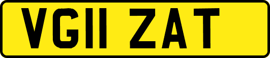 VG11ZAT