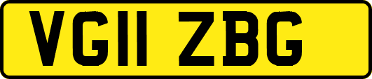 VG11ZBG
