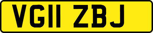 VG11ZBJ