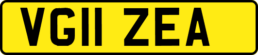 VG11ZEA