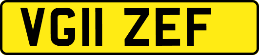 VG11ZEF