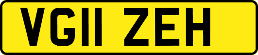 VG11ZEH