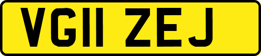VG11ZEJ