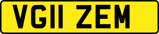 VG11ZEM