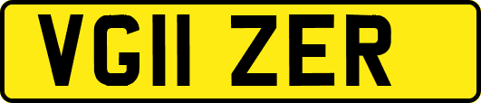 VG11ZER