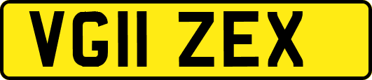 VG11ZEX