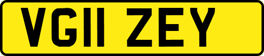 VG11ZEY