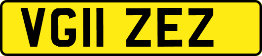 VG11ZEZ