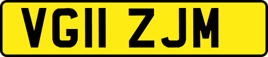 VG11ZJM