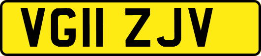 VG11ZJV