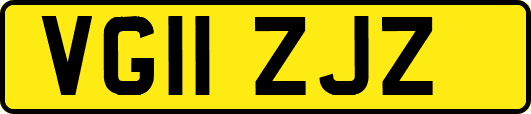 VG11ZJZ