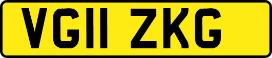 VG11ZKG