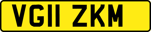 VG11ZKM