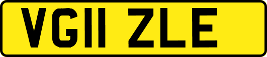 VG11ZLE