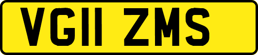 VG11ZMS