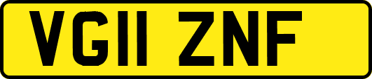 VG11ZNF