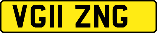VG11ZNG