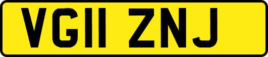 VG11ZNJ