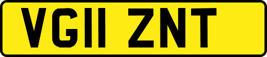 VG11ZNT