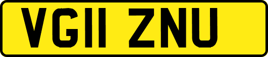 VG11ZNU
