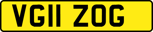 VG11ZOG