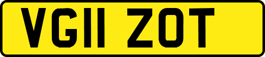 VG11ZOT