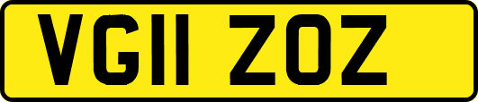 VG11ZOZ