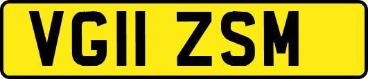 VG11ZSM