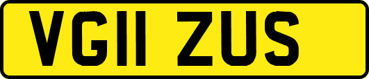 VG11ZUS