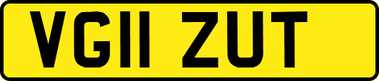 VG11ZUT