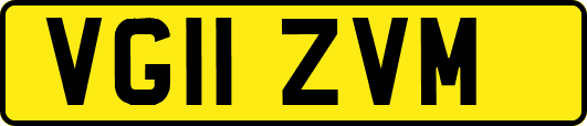 VG11ZVM