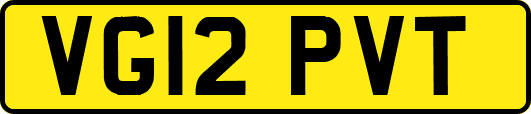 VG12PVT