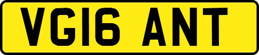 VG16ANT