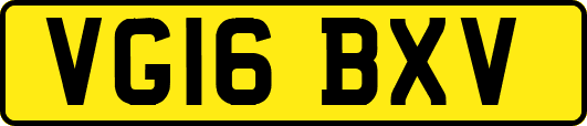 VG16BXV
