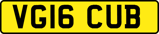 VG16CUB